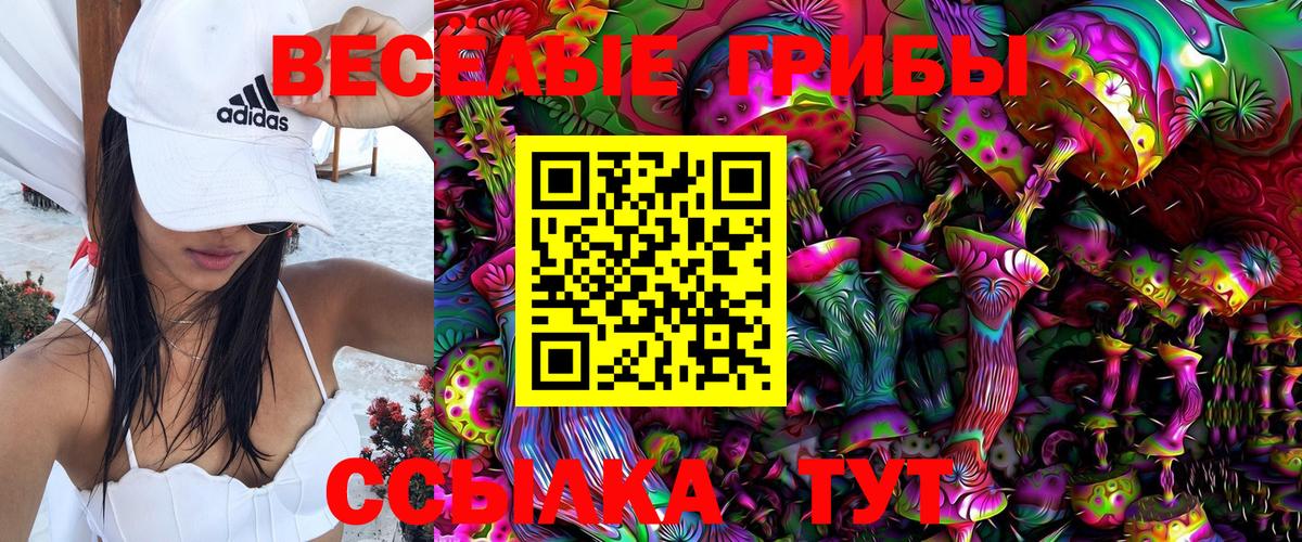 Галлюциногенные грибы прущие грибы Иваново