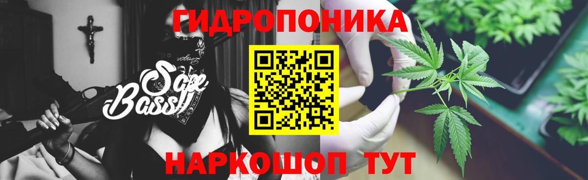 Канабис конопля Иваново